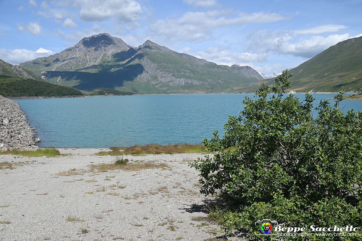 VBS_1 -  Plateau du Mont-Cenise, Grand Croix, Marmotte_-_0149 mt.jpg